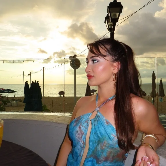 Canon SX740 HS Silver Digital Camera - Picture 15 of 16